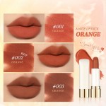 Lipstick Supplier - Duoduo DFA203 Private Label Lightweight Cream Lipstick