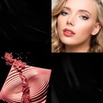 Highlighter Supplier - OEM/ODM Matte Shimmer Highlighter Pressed Powder