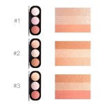 Blush Palette Manufacturer - Duoduo DFA26 Shimmer Matte Cheek Contour Powder