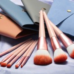 Makeup Brush Set Supplier - Lip Brush for Women High Quality Custom Logo
