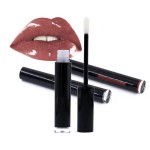 Lip Gloss Manufacturer - 56 Colors Organic Wholesale Gloss Private Label