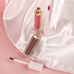 Lip Gloss Vendor - Private Label Vegan Moisturizer Liptint Wholesale Bulk