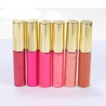 Lip Gloss Manufacturer - TOP Sales Customize Private Label Multi Color Tube