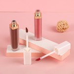 Lip Gloss Vendor - Private Label Vegan Moisturizer Liptint Wholesale Bulk