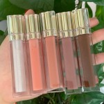 Lip Gloss Supplier - Wholesale 60 Colors Matte Glitter Private Label Vendor
