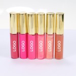 Lip Gloss Manufacturer - TOP Sales Customize Private Label Multi Color Tube