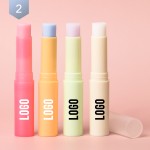 Lip Balm Supplier - Colorful Fruit Flavor Vegan Organic Custom Logo Repair