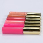 Lip Gloss Manufacturer - TOP Sales Customize Private Label Multi Color Tube