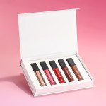 Lip Gloss Kit Supplier - 5pcs/Set Print Logo Long Lasting Nude Liquid Matte