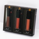 Lipstick Set Manufacturer - Vegan Customize Logo Private Label Long Lasting