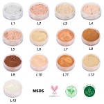 Loose Powder Factory - Private Label Waterproof Translucent Oil Control Vegan