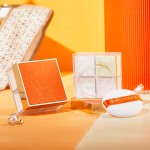 Face Powder Manufacturer - Your logo Oil Control Setting Powder Matte Waterproof