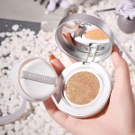 Setting Powder Manufacturer - Waterproof Foundation Loose Powder Professional Oil Control