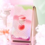 BB Cream Manufacturer - Silk Mist Smoothing BB Cream Concealer Brighten Skin Tone