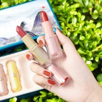 Lipstick Case Supplier - High Quality Velvet Waterproof Non-Fading Lip Color