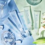 Hand Cream Supplier - Wholesale High Quality Moisturizing Organic Whitening Mini