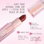 Lipstick Set Factory - Custom Logo Private Label Matte Multicolor Waterproof Sets