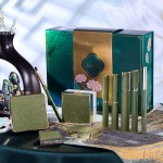 Makeup Set Manufacturer - Long Lasting Natural Lipstick Eyebrow Pencil 10 Piece