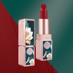 Makeup Gift Set Manufacturer - Beauty Kit Long Lasting Lipsticks BB Cream Highlight