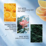 Antiperspirant Sticks Manufacturer - Macaron Remove Sweat Odor Long Lasting Dry