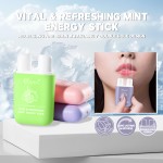 Nasal Inhaler Supplier - Refreshing Fruit Mint Aromatherapy Dual Tube Energy