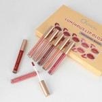 Lipstick Kit Supplier - Women's Cosmetic 10pcs Natural Moisturizer Waterproof