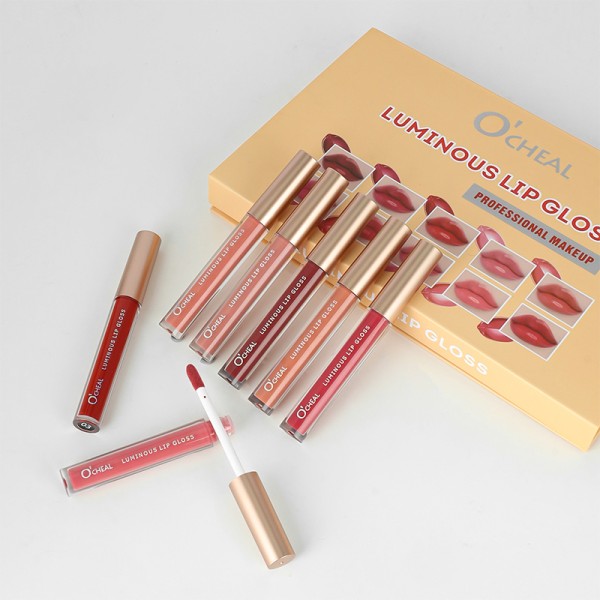 Lipstick Kit Supplier - Women's Cosmetic 10pcs Natural Moisturizer Waterproof