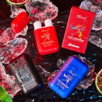 Nasal Inhaler Manufacturer - Natural Essence Refreshing Peppermint Double Tube