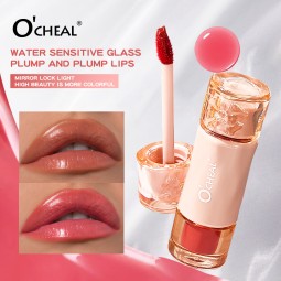 Lip Gloss Supplier - Cute Waterproof Long Lasting Moisturizing Smooth Volumizing