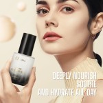 Matte Foundation Supplier - Natural Long Term Waterproof Effective Concealer