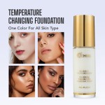 Concealer Foundation Factory - Waterproof Sweat Proof Refreshing Oil Control Long