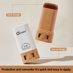 Foundation Stick Supplier - Boosted Skin Tint Smooth Plumper High Coverage