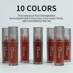 Lip Gloss Kit Manufacturer - 10pcs/set Custom Glossy Matte Liquid High Pigment