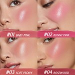Liquid Blush Factory - Mineral Quick Dry Smudge Proof High Lasting Every