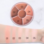 Concealer Palette Factory - ZXP01A SFR Full Coverage Waterproof Vegan Face