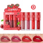 Lip Gloss Set Manufacturer - LGK02A Dragon Ranee Long Lasting 4pcs Velvet Matte