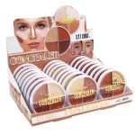 Foundation Cream Supplier - ZX10A Natural Whitening Face Contour Waterproof