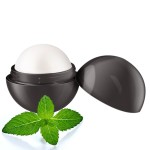 Lip Balm Supplier - CG01A3 Wholesale Cute Vegan Moisturizing Fruit Organic