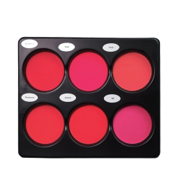 Blush Palette Manufacturer - Specially Designed 6-Color Natural Contour Makeup