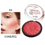 Face Blush Powder Manufacturer - RTS Compact Korean High Pigment Waterproof