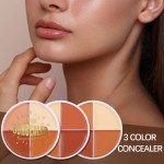 Foundation Cream Supplier - ZX10A Natural Whitening Face Contour Waterproof