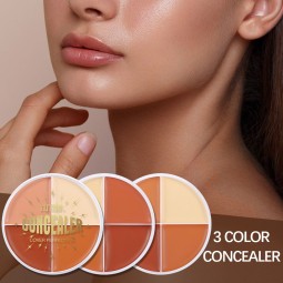 Foundation Cream Supplier - ZX10A Natural Whitening Face Contour Waterproof