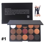 Eyeshadow Palette Manufacturer - OEM High Quality 15-Color Matte Luminous