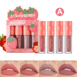 Lip Gloss Set Manufacturer - LGK02A Dragon Ranee Long Lasting 4pcs Velvet Matte