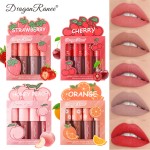Lip Gloss Set Manufacturer - LGK02A Dragon Ranee Long Lasting 4pcs Velvet Matte
