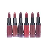 Lipstick Manufacturer - CKH01A2 Long Lasting Velvet Waterproof Matte Nude