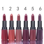 Lipstick Manufacturer - CKH01A2 Long Lasting Velvet Waterproof Matte Nude