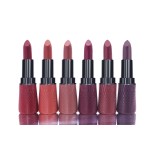 Lipstick Manufacturer - CKH01A2 Long Lasting Velvet Waterproof Matte Nude