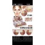 Foundation Cream Supplier - ZX10A Natural Whitening Face Contour Waterproof