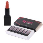 Lipstick Set Factory - Ready to Ship Organic Mushroom 6 Colors Matte